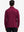 Back upper body of Long sleeve pinstripe jersey polo with subtle maroon stripe lines